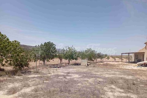 Landejendom i Monovar, Alicante, Monovar - € 115.000 | Ref: SF0505 - foto 22